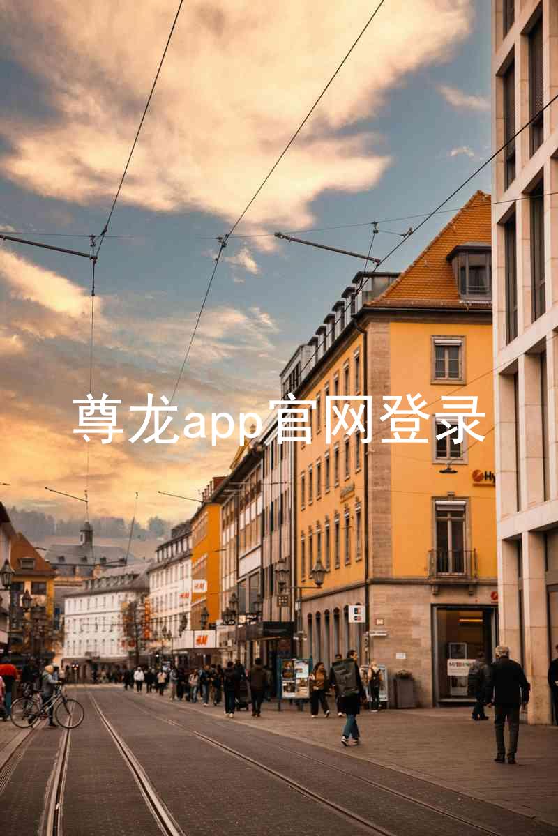 尊龙app官网登录