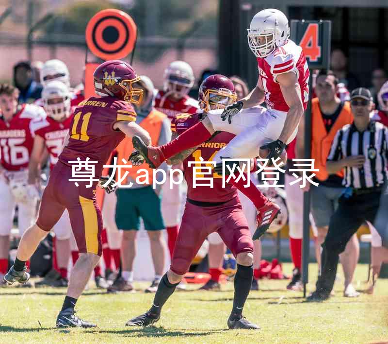 尊龙app官网登录